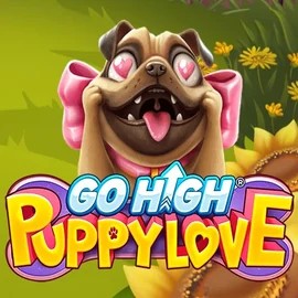 Play Go High Puppy Love slot by RubyPlay on roostinocasinoo.com